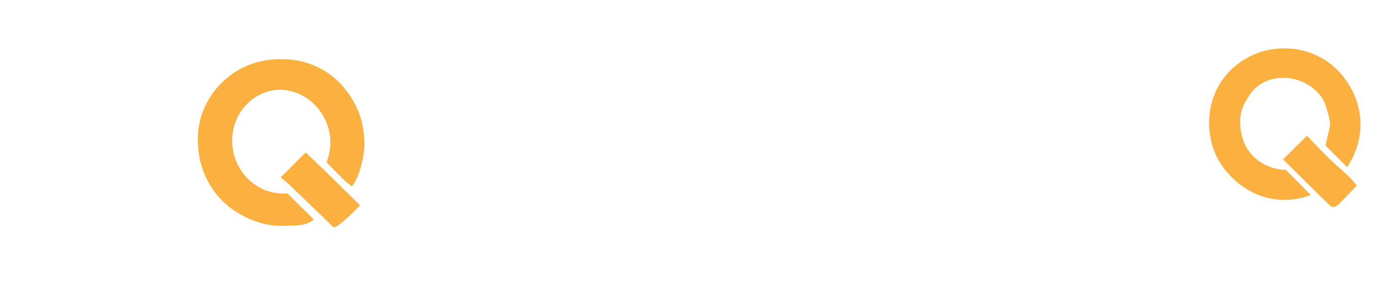 Eye FactQ Logo